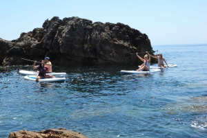 アルガルベ：スタンドアップパドルツアー＆スノーケリングでイングリーナ洞窟へ