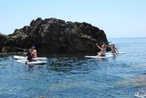 Algarve: Stand-Up Paddleboard Tour to Ingrina Caves