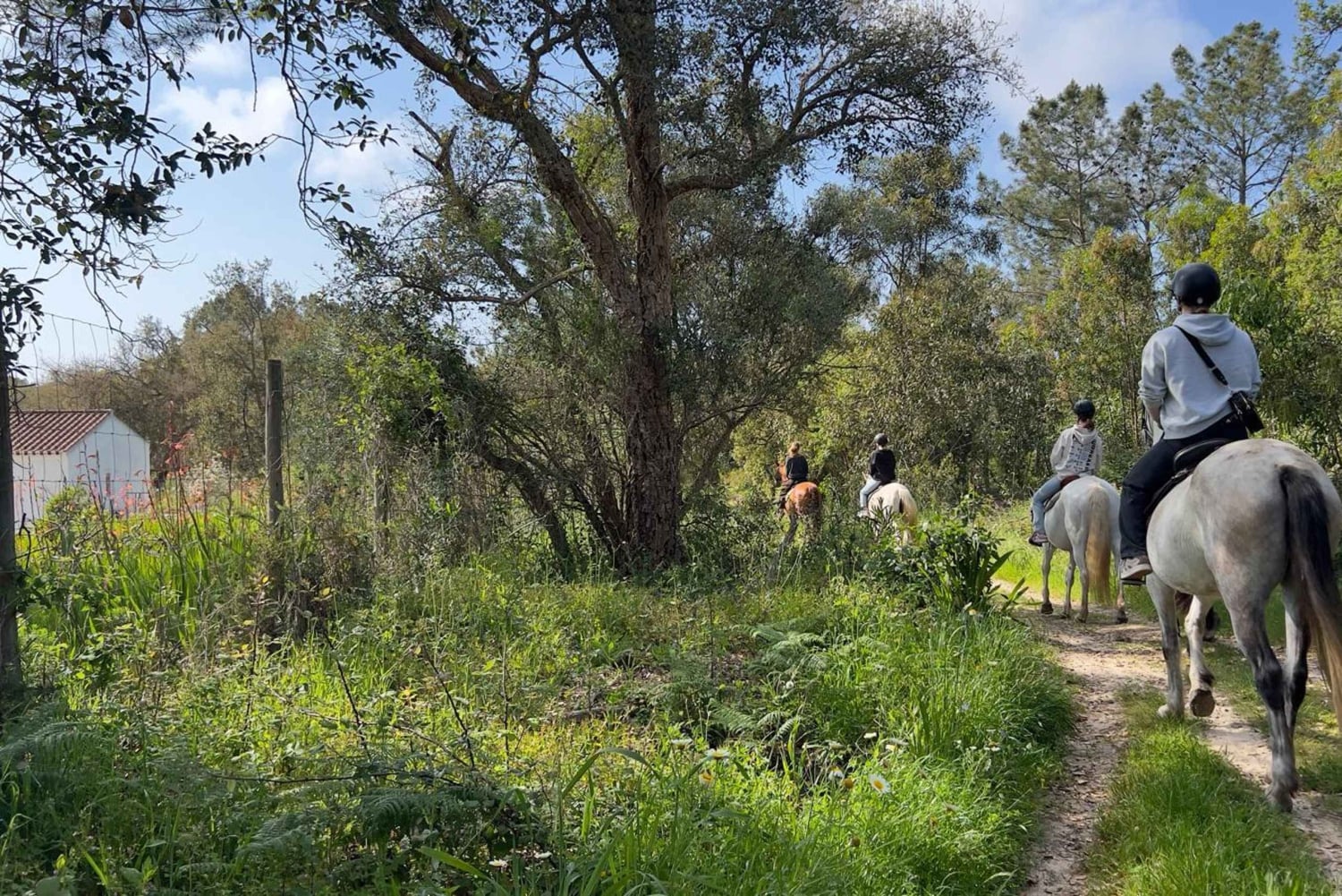Algarve: Jazda konna o zachodzie słońca Aljezur