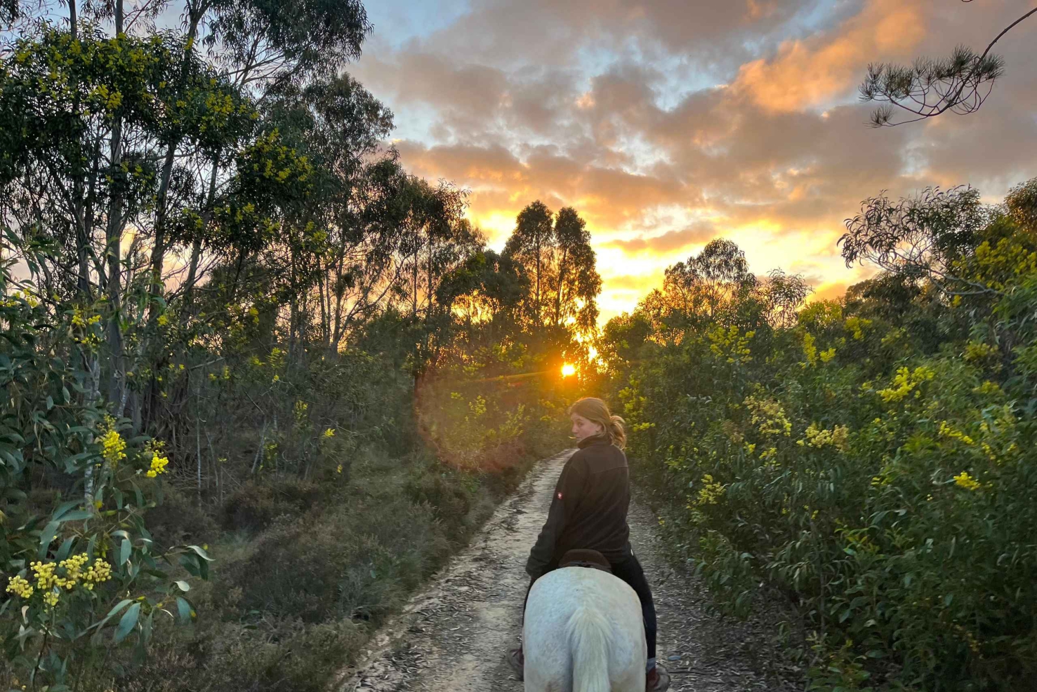 Algarve: Jazda konna o zachodzie słońca Aljezur