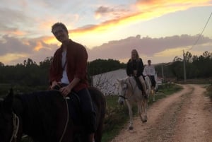 Algarve: Solnedgångstur Aljezur