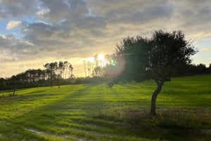 Algarve: Solnedgångstur Aljezur