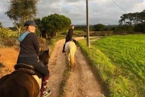 Algarve: Solnedgångstur Aljezur