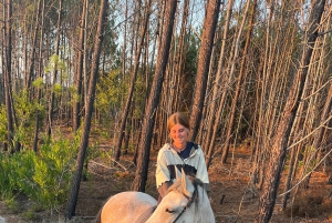 Algarve: Jazda konna o zachodzie słońca Aljezur