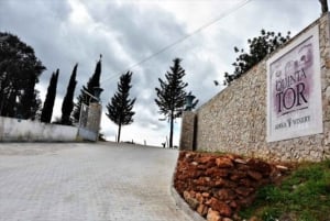 Algarve to Lisbon up to 4 stops