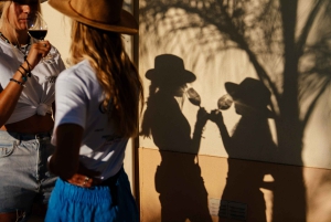 Algarve: Vineyard Tour & Premium Wine Tasting in Silves