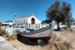 Albufeira - Visit Olhão & Culatra Island with lunch included