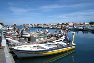 Albufeira - Visit Olhão & Culatra Island with lunch included