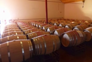 ワイン専門家が案内する2つの農園を巡るアルガルヴェワインツアー