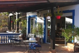 ワイン専門家が案内する2つの農園を巡るアルガルヴェワインツアー