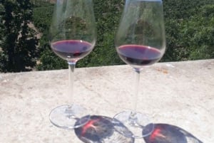 ワイン専門家が案内する2つの農園を巡るアルガルヴェワインツアー