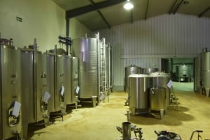 ワイン専門家が案内する2つの農園を巡るアルガルヴェワインツアー