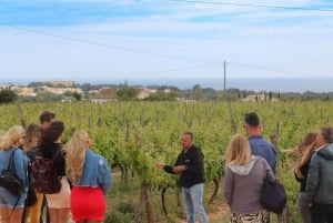 Carvoeiro/Portimão/Alvor: Wine Tour w/ Tasting, Tapas, Music