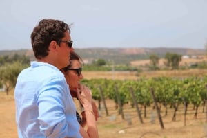 Carvoeiro/Portimão/Alvor: Wine Tour w/ Tasting, Tapas, Music