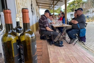 Carvoeiro/Portimão/Alvor: Wine Tour w/ Tasting, Tapas, Music