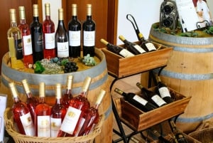 Carvoeiro/Portimão/Alvor: Wine Tour w/ Tasting, Tapas, Music