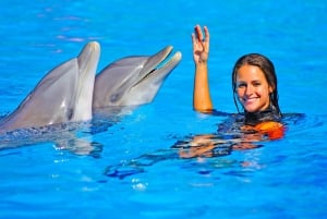 Algarve: Ingresso para o Parque de Diversões Zoomarine