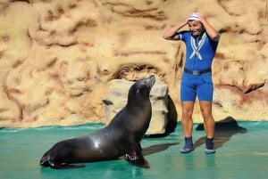 Algarve: Ingresso para o Parque de Diversões Zoomarine