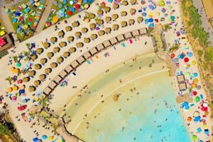 Algarve: Ingresso Parque Zoomarine