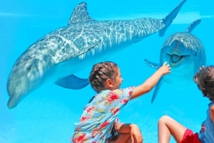 Algarve: Ingresso para o Parque de Diversões Zoomarine