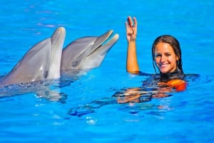 Algarve Zoomarine Ticket and Dolphin Emotions Experience