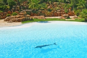 Algarve: ticket Zoomarine en emotie-ervaring met dolfijnen