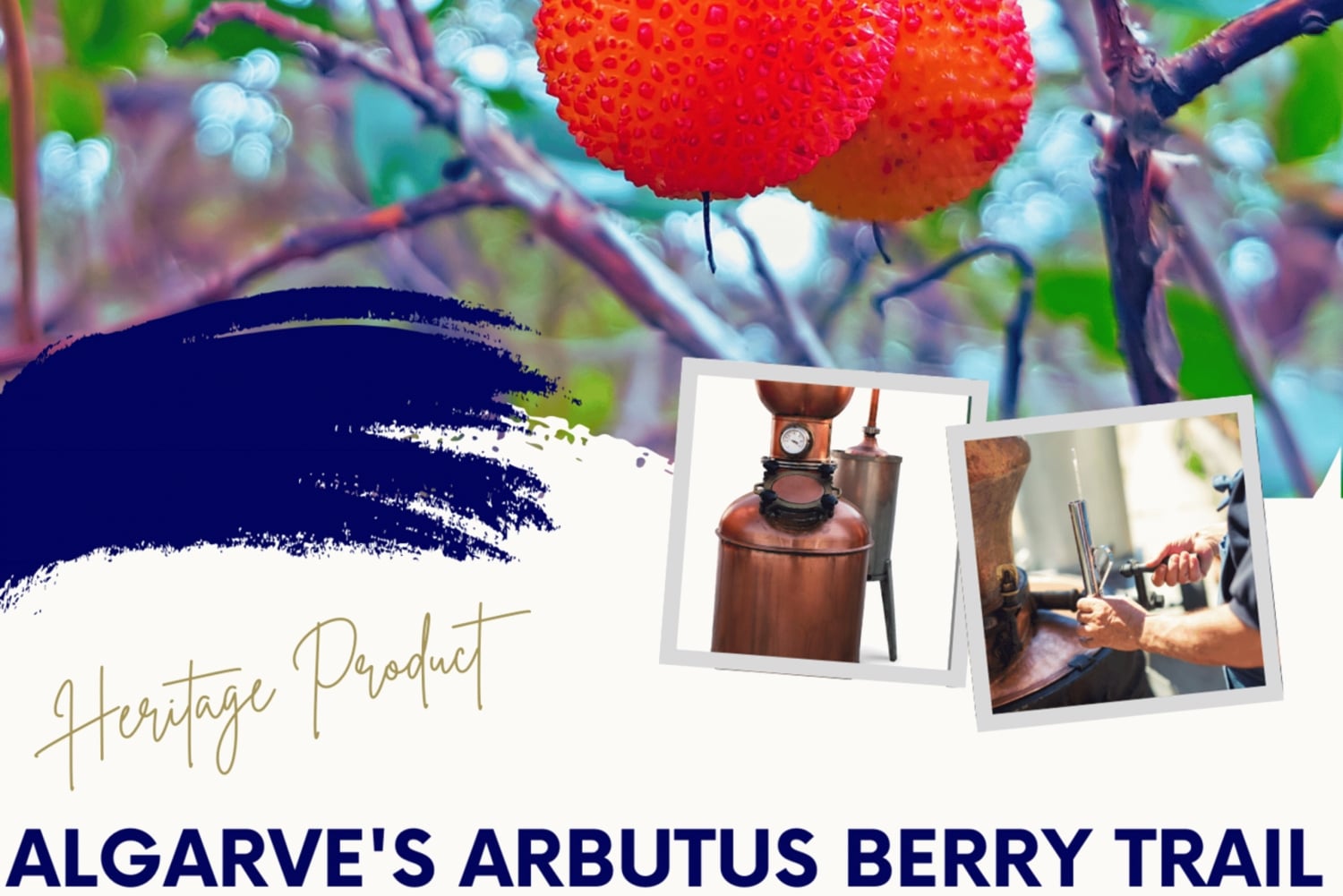 SZLAK JAGÓD ARBUTA W ALGARVE