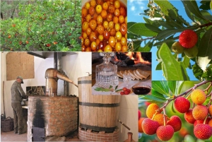 IL SENTIERO DEI CORBEZZOLI DELL'ALGARVE