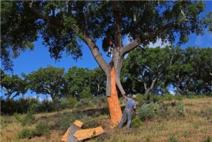 KURKROUTE VAN DE ALGARVE
