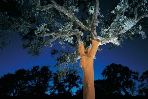 KURKROUTE VAN DE ALGARVE