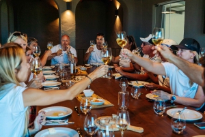 Silves: Algarve Vineyard Tour with Premium Wine Tasting