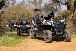 Almancil: Algarve Guided Off-Road Buggy Adventure