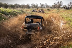 Almancil: Algarve Guided Off-Road Buggy Adventure