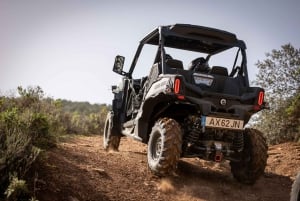 Almancil: Algarve Guided Off-Road Buggy Adventure