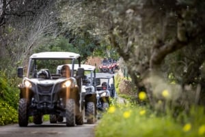 Almancil: Algarve Guided Off-Road Buggy Adventure