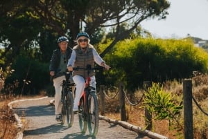 Almancil: Guidad cykeltur på Faro Island med kaffepaus