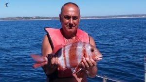 Alvor Boat Trips