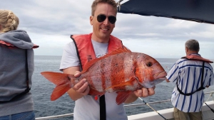 Alvor Boat Trips