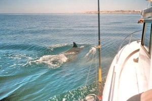 Alvor Boat Trips