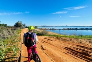 Portimão sightseeing guided tour on e-bikes