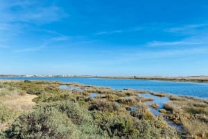 Alvor to Ferragudo on E-bike: Traditional fishing Villages