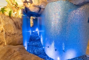 Aquashow Indoor Water Park & Spa Entry Tickets