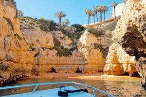 Armação de Pêra: Benagil´s 15 Best Caves Boat Tour