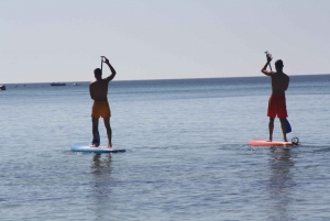 Armação de Pêra: Stand Up Paddle-utleie