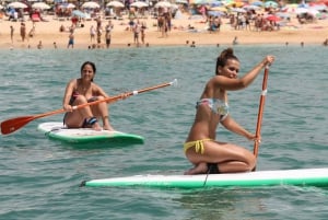 Armação de Pêra: Stand Up Paddle-utleie