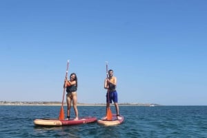 Armação de Pêra: Stand Up Paddle-utleie