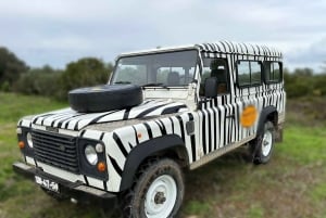 Arrábida - Sesimbra: Jeep Tour From Cabo Espichel to Lagoa