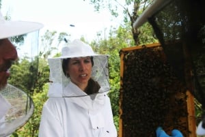 Azores Beekeeping Tour and Honey Taste