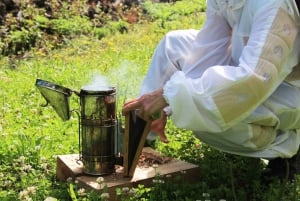 Azores Beekeeping Tour and Honey Taste