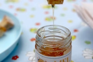 Azores Beekeeping Tour and Honey Taste